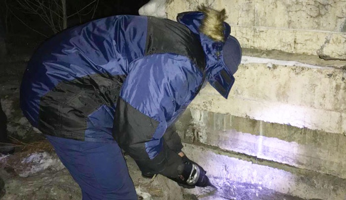 Новокузнецкие спасатели пять часов доставали зажатого в бетонных плитах щенка