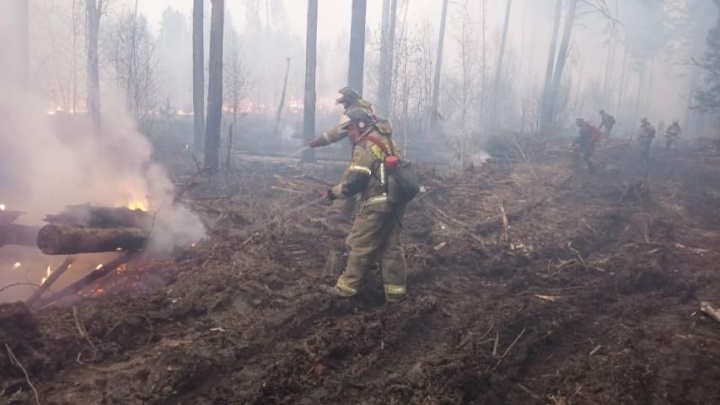 Спасали 7 часов: лесной пожар подошел на 200 метров к селу в Зиминском районе