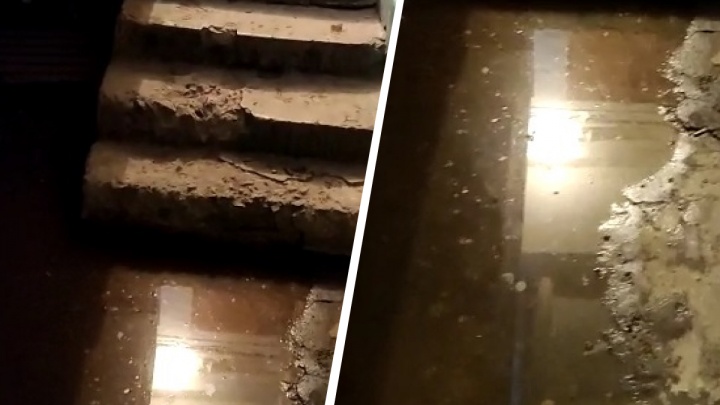 «Лестница разрушена, канализация течет». На Уктусе подъезд затопило фекалиями: неприятное видео