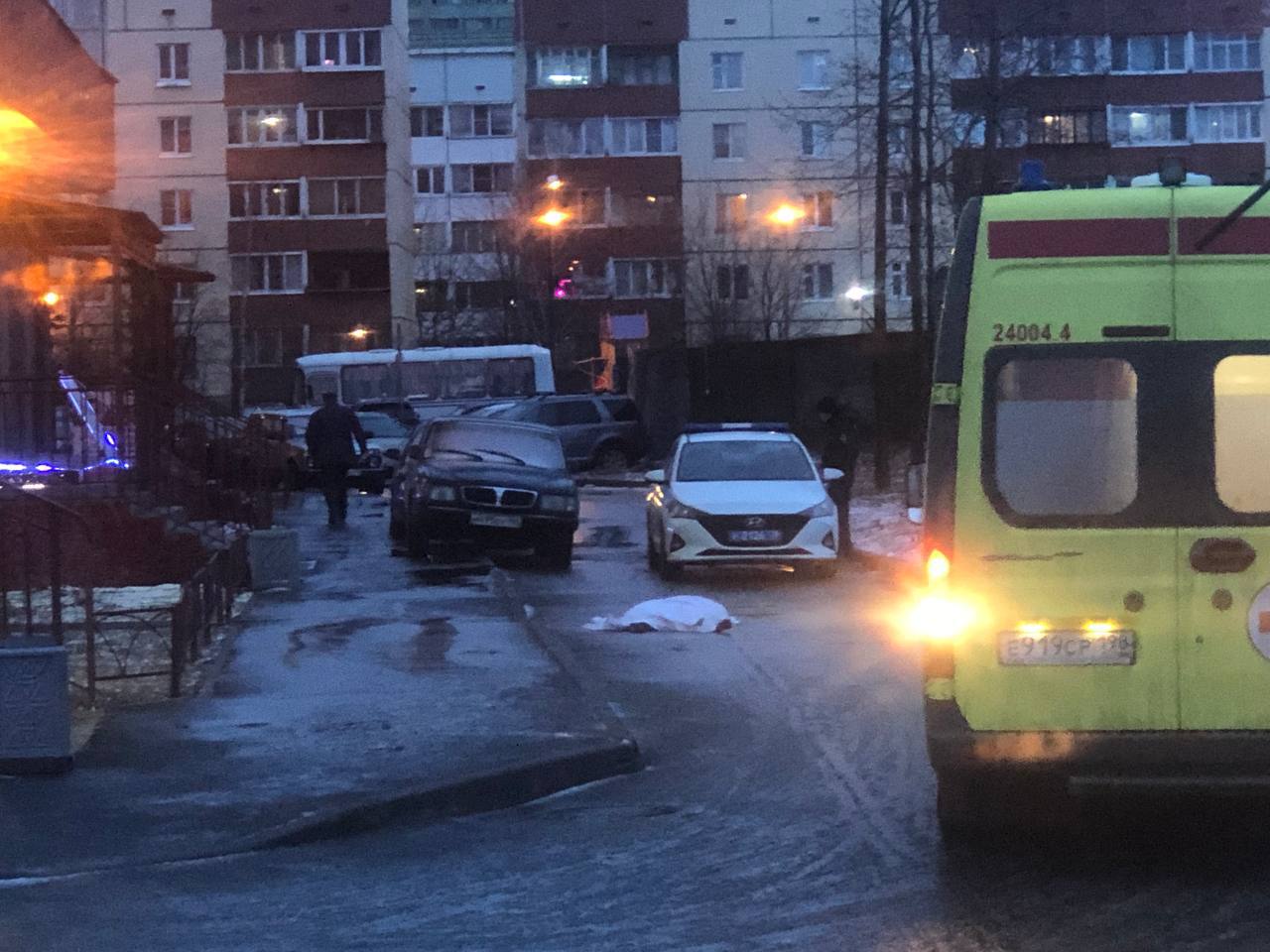 Мегаполис спб происшествия. Происшествие в Санкт Петербурге женщина. Вчерашние происшествия в Шушарах.