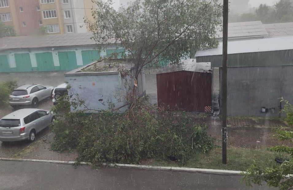 Дерево упало на улице Угданской