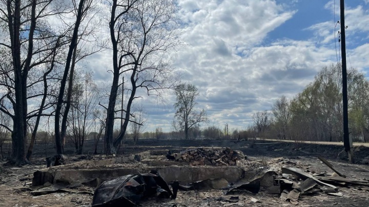 Подробности пожара в деревне Бачелино, где сгорел ФАП: «Помощь жителям оказывали в уцелевших от пожара домах»