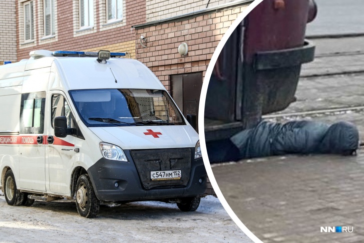 Нижегородка перебегала дорогу в неположенном месте Нижегородка перебегала дорогу в неположенном месте