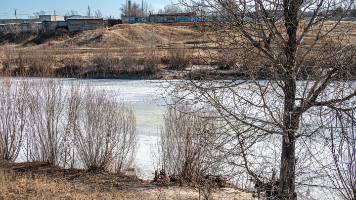 Уровень воды в реках Кемеровской области продолжает активно снижаться