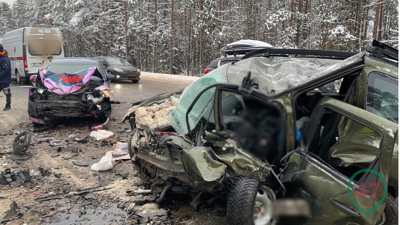 В ДТП на Киевском шоссе погибли водители двух машин, еще три человека  пострадали | 03.01.2022 | Санкт-Петербург - БезФормата