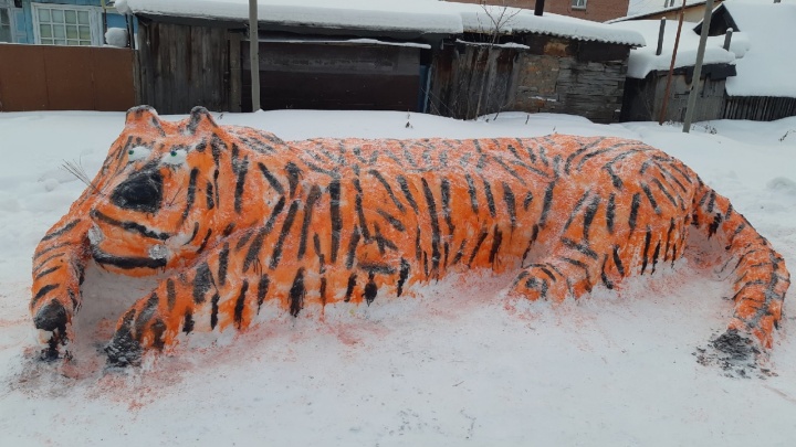 Когда понял, что впереди еще год пандемии: в новосибирском дворе появился тигр с выпученными глазами
