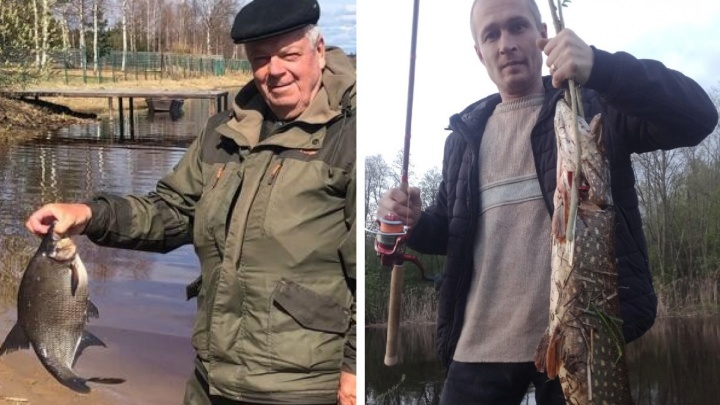 Река преподносит сюрпризы: житель Ярославской области вытащил метровую щуку