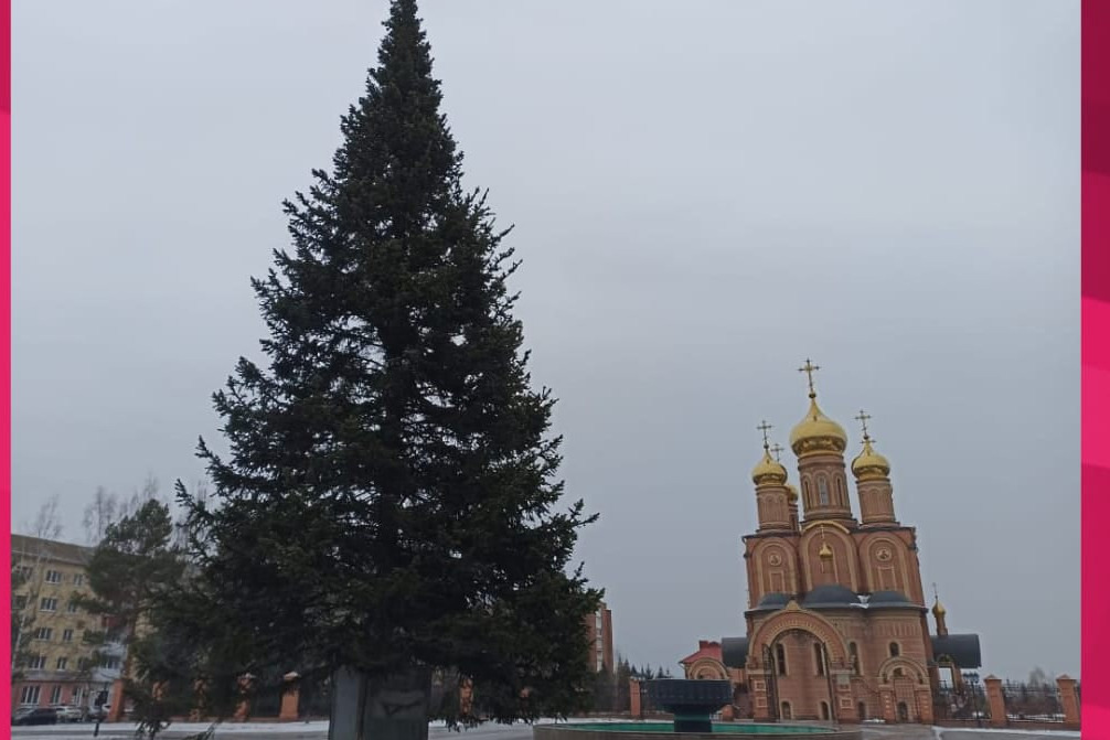 Праздник к нам приходит: новогодние ели начали ставить в городах Кузбасса