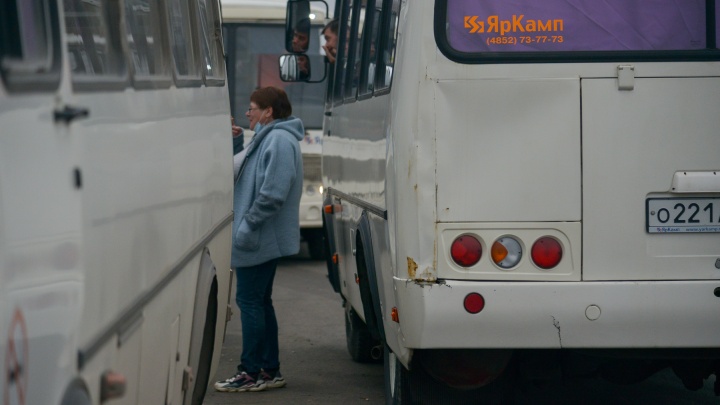 На дороги Архангельска вернется автобус № 63
