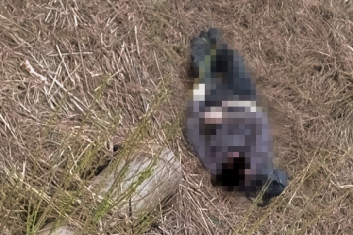 Тело лежало в сухой траве в Ярославском районе возле деревни Филимоново