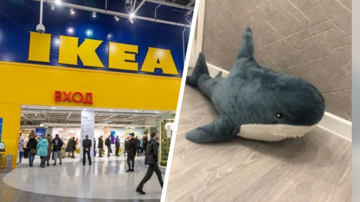 Красноярка продает акулу «Блохэй» из IKEA за миллион рублей