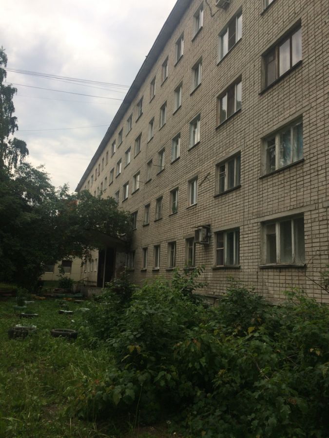 Выкладывать фото квартиры хозяин не стал, зато показал зеленый двор Выкладывать фото квартиры хозяин не стал, зато показал зеленый двор