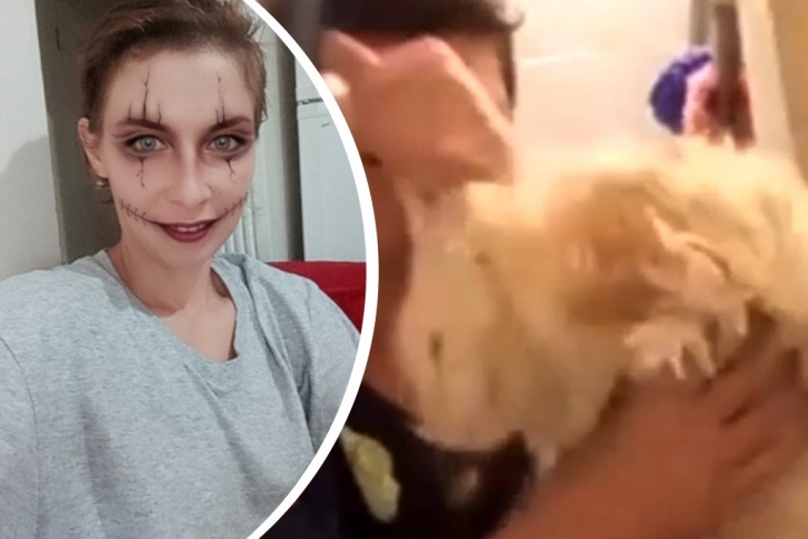 Женщина из Салавата выложила видео, на котором жестко издевалась над кошкой