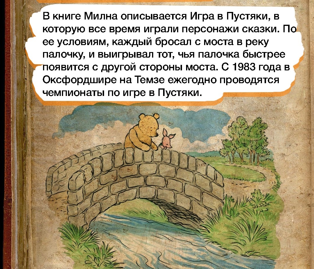 Это «ж-ж-ж» — неспроста!» 15 неожиданных фактов о медвежонке, который ходит  в гости по утрам | 22.01.2022 | Санкт-Петербург - БезФормата