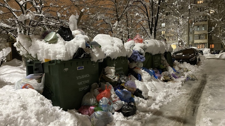 В Краснодаре из-за снега перестали вывозить мусор. Когда всё уберут?