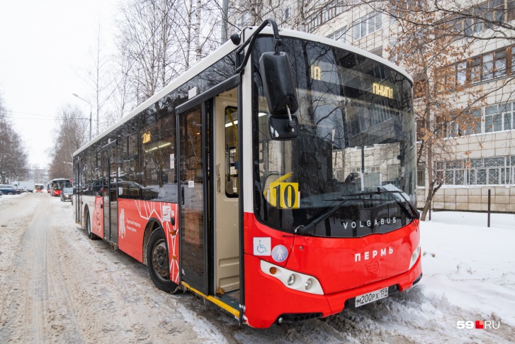 Вскоре количество автобусов в Перми увеличится