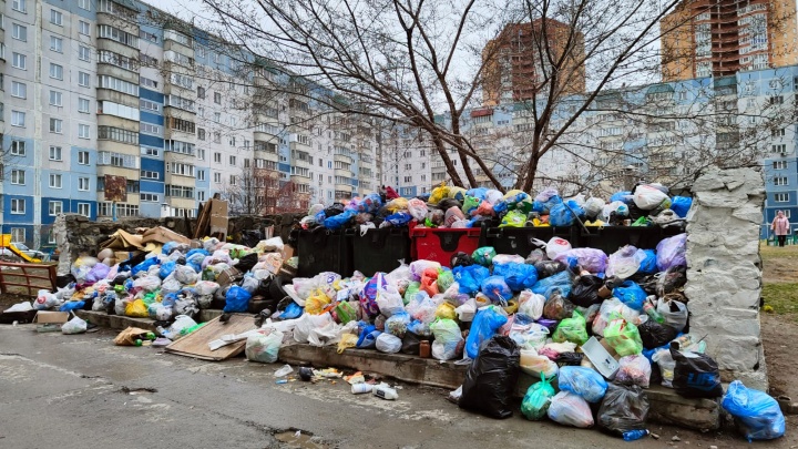 «Экология-Новосибирск» пообещала вывезти залежи мусора из города за выходные