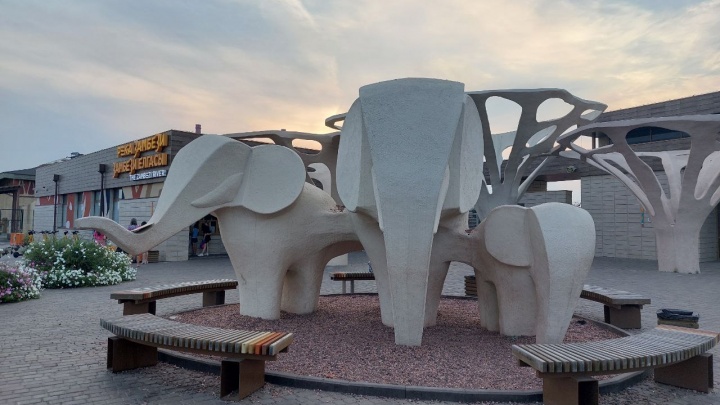 В новый казанский зоопарк наконец-то привезут слона. Называем сроки