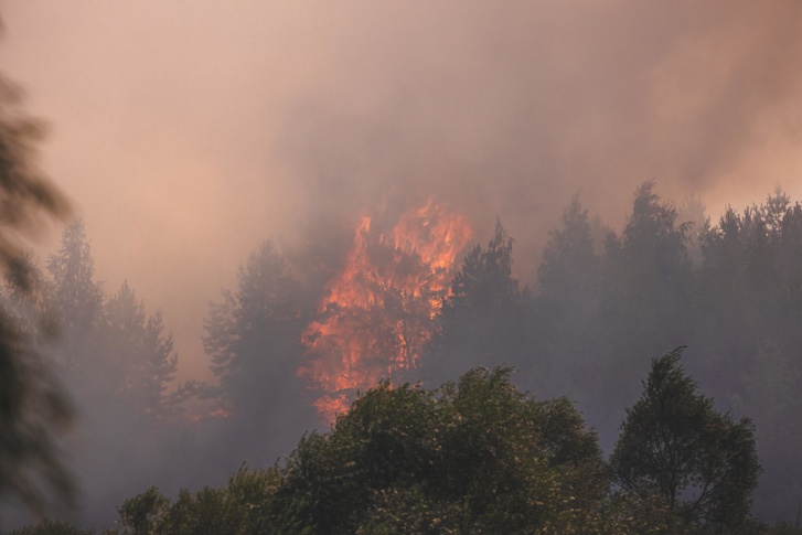 Смог от лесных пожаров накрывает города Югры
