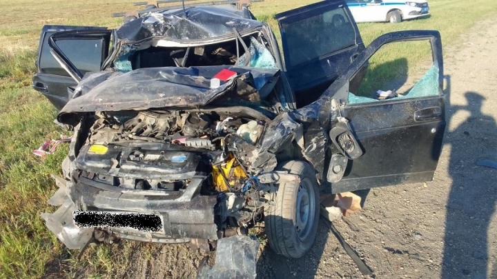 В Зауралье автомобиль столкнулся с лосем: погибли два человека