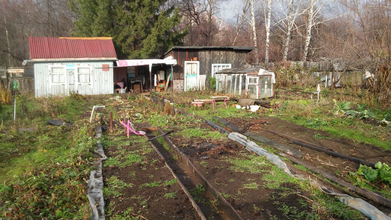 Огороды востребованы дачниками и спустя почти сто лет Огороды востребованы дачниками и спустя почти сто лет