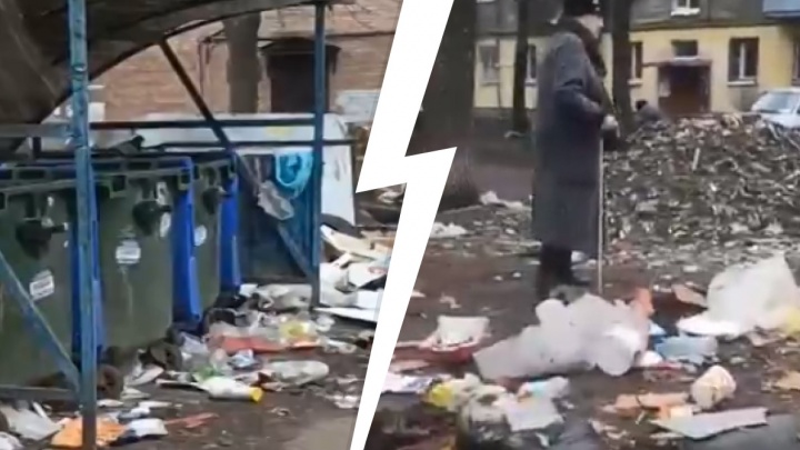 «Они превратили нашу жизнь в помойку»: жители Ярославля показали, как город утопает в мусоре
