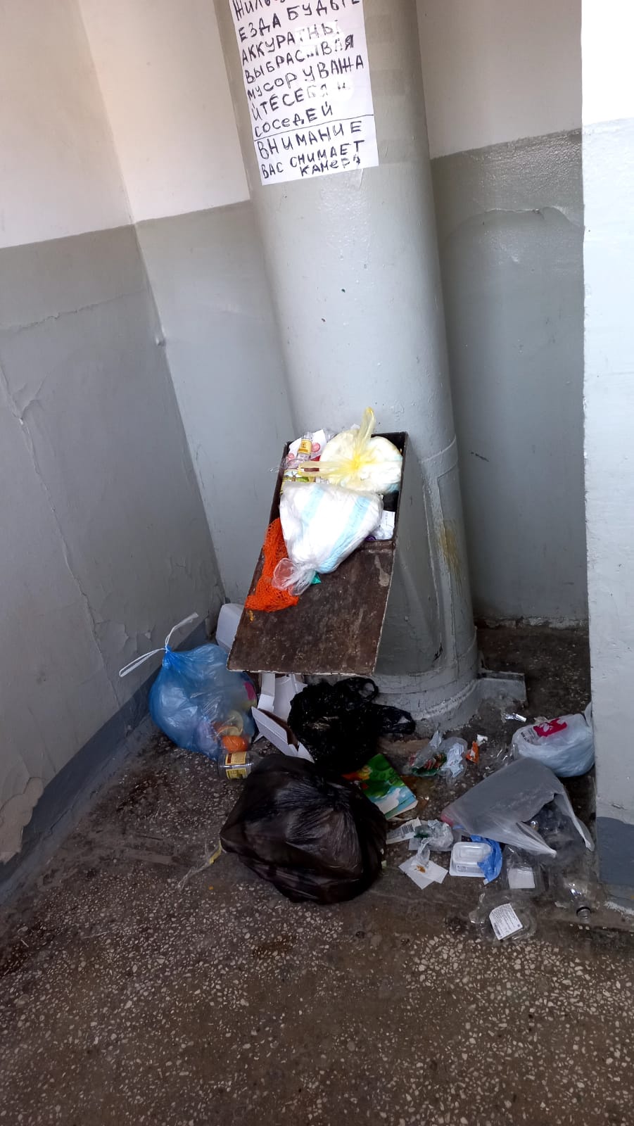 Из-за сложностей с вывозом мусора некоторые жильцы этого дома устроили стихийную свалку у неработающего мусоропровода