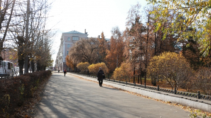 Тротуары на Маркса закатают в плитку при благоустройстве Городского сада