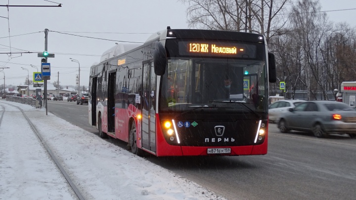 В Кондратово легализуют автобусную остановку «Улица Суворова»