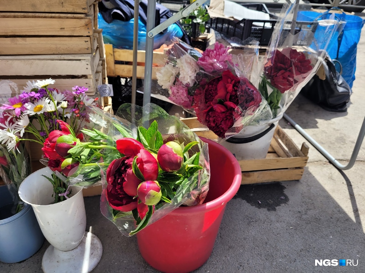 Цветочный сезон: на площади Калинина начали продавать пионы и люпины — цена букета зависит от покупателя
