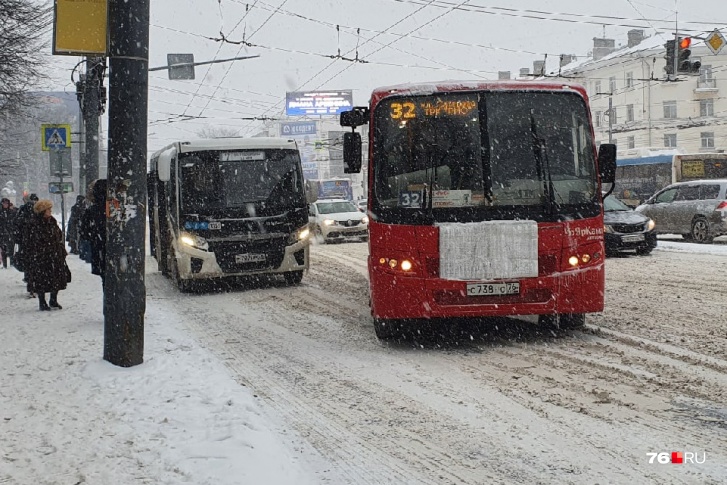 Рынок автобусных перевозок в Ярославле поделили между девятью компаниями
