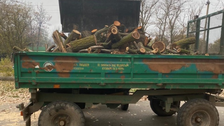 Благоустройство в забытом Минобороны городке Сальск-7 началось со сноса деревьев