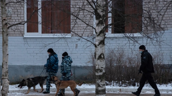 За прошлогодними лжеминированиями школ в Архангельске стоял школьник из Свердловской области