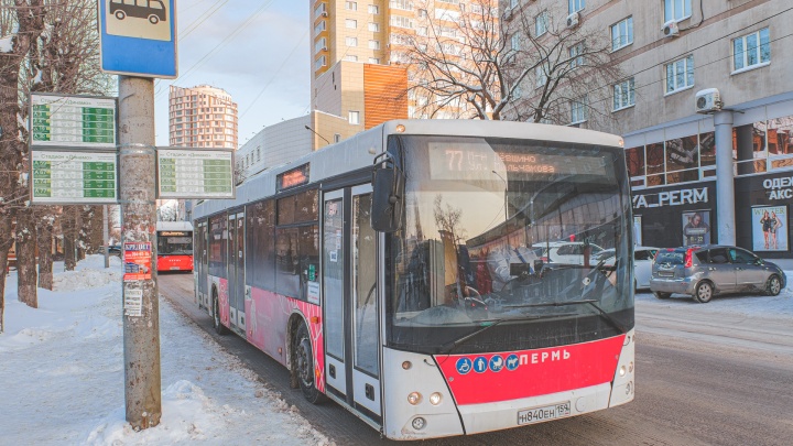 В Перми ужесточат требования к соблюдению расписания автобусными перевозчиками