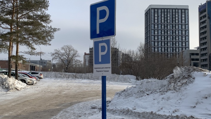 Власти Новосибирска легализовали стихийную парковку на газоне у Речного вокзала