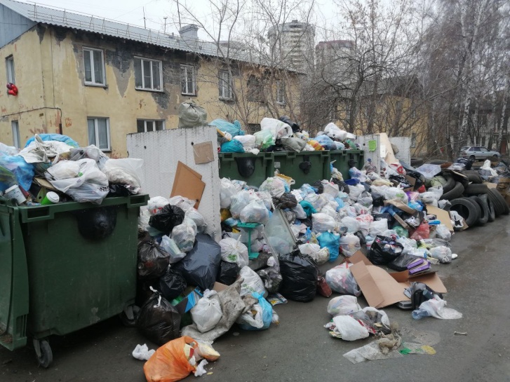 Сроки снова нарушены: «Экология-Новосибирск» отчиталась о том, сколько осталось мусора в городе