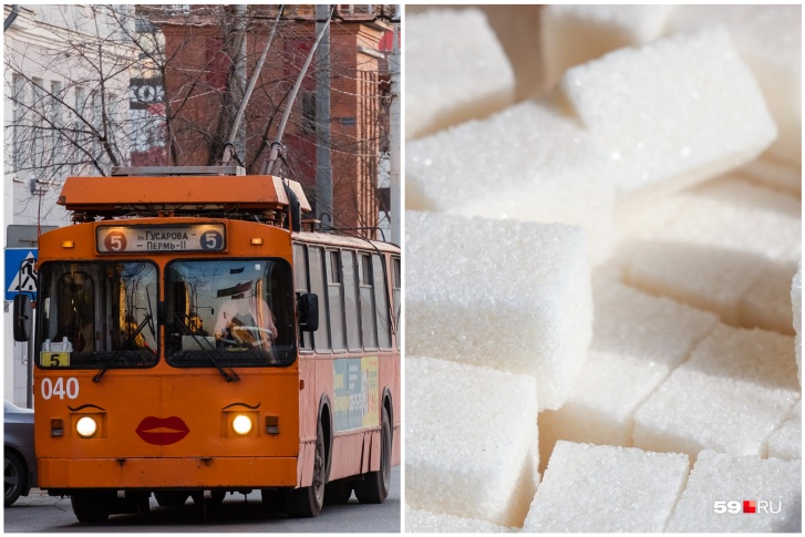 Троллейбусы и сахар, а точнее, их отсутствие — в перечне самых частых запросов
