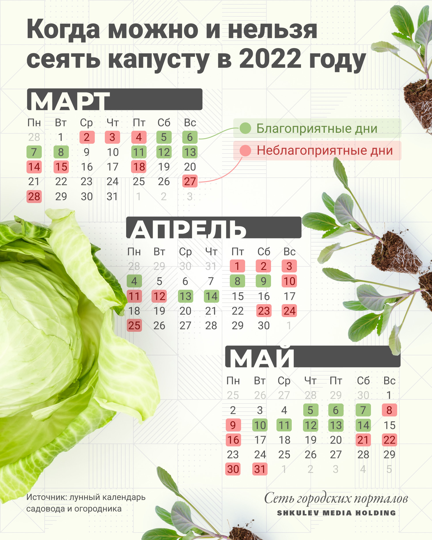 Благоприятные и неблагоприятные дни для посева капусты в 2022 году