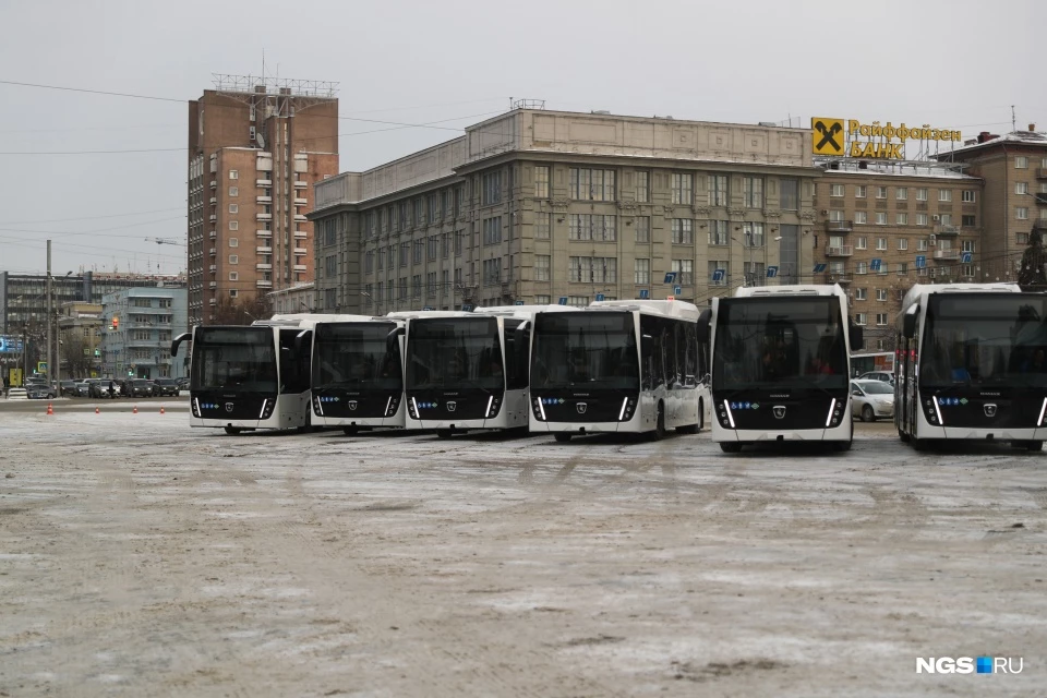 Новые автобусы пришли. Новые автобусы Новосибирск. Новый общественный транспорт Новосибирск. Новые автобусы Новосибирск ПАТП 4. Новосибирск привезли 50 новых автобусов.