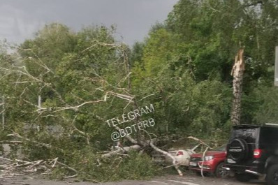 Во время грозы в Уфе повалило деревья, повреждения получили более 10 авто