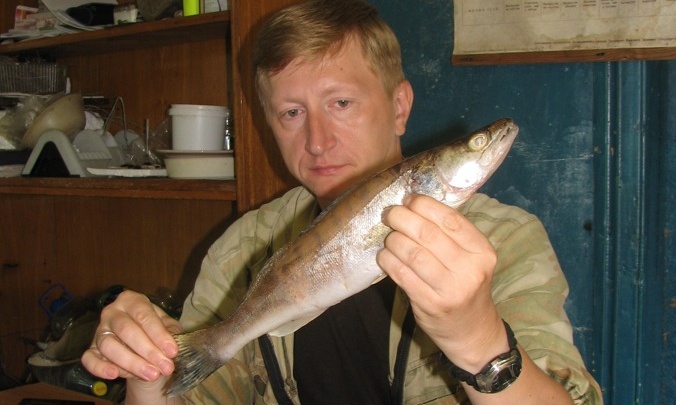 Почему краснокнижные рыбы на грани исчезновения в Татарстане? Эксперт назвал причины