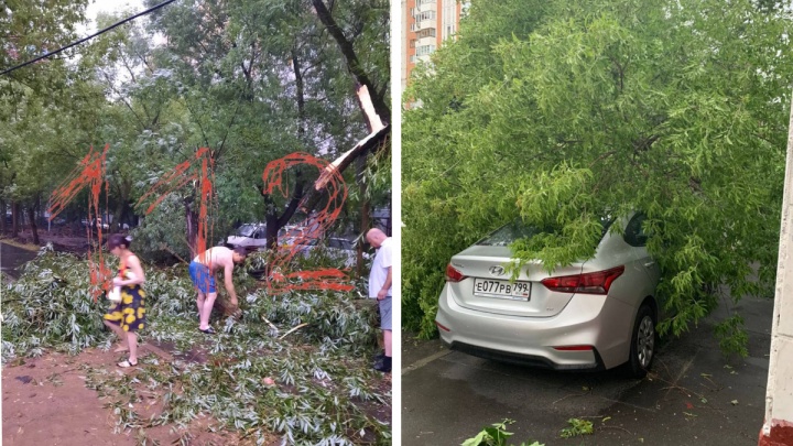 Несколько человек пострадали из-за урагана в Москве