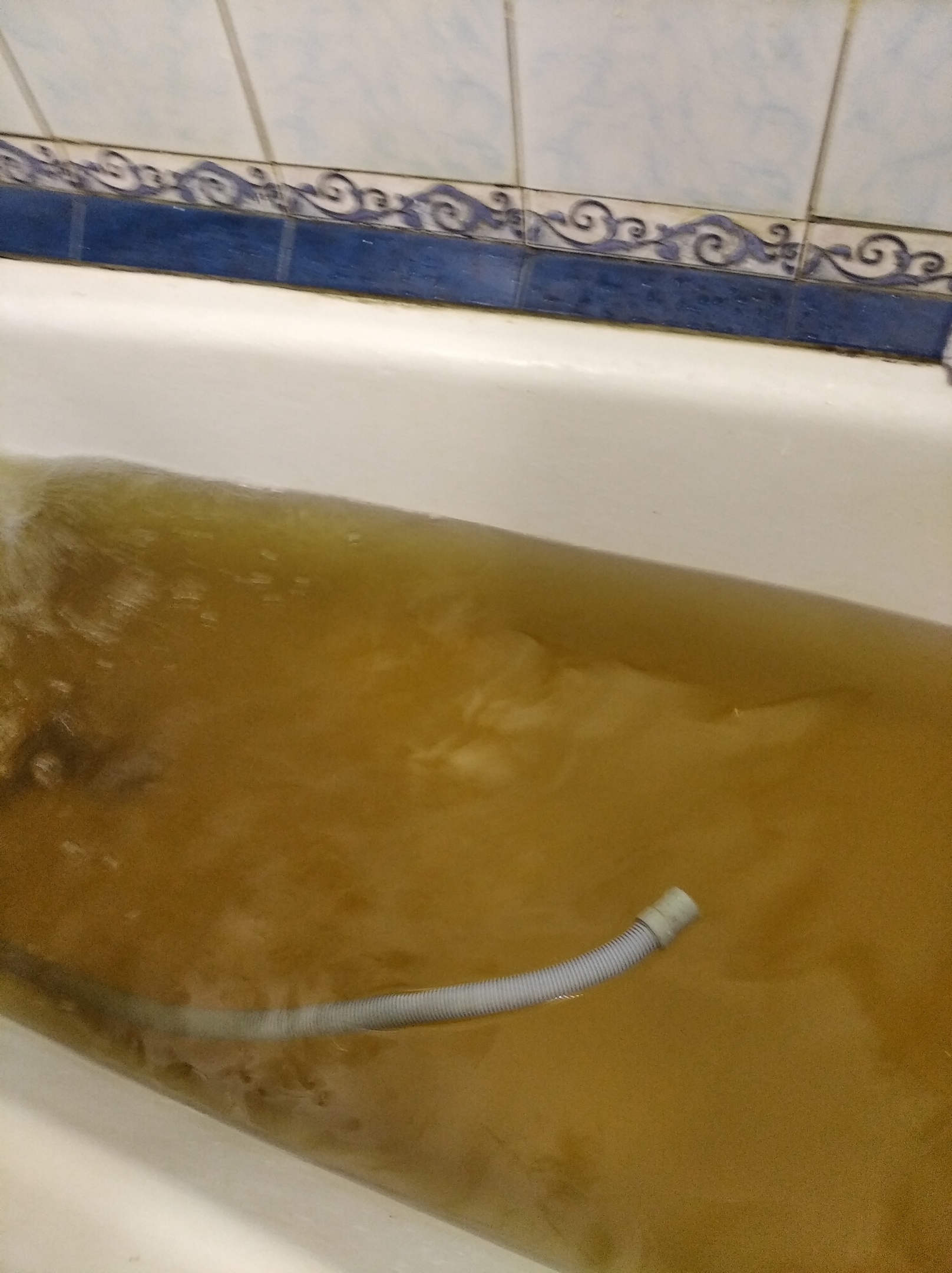 Чтобы продолжать пользоваться водой и не бояться за себя и постиранные вещи, люди ставят магистральные фильтры очистки Чтобы продолжать пользоваться водой и не бояться за себя и постиранные вещи, люди ставят магистральные фильтры очистки