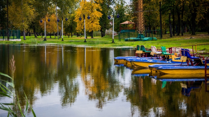 В Шадринске отремонтируют парк за 80 миллионов рублей