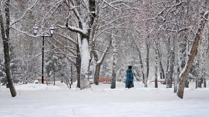 Заметает зима: все сугробы города в 10 фото заснеженного Кургана