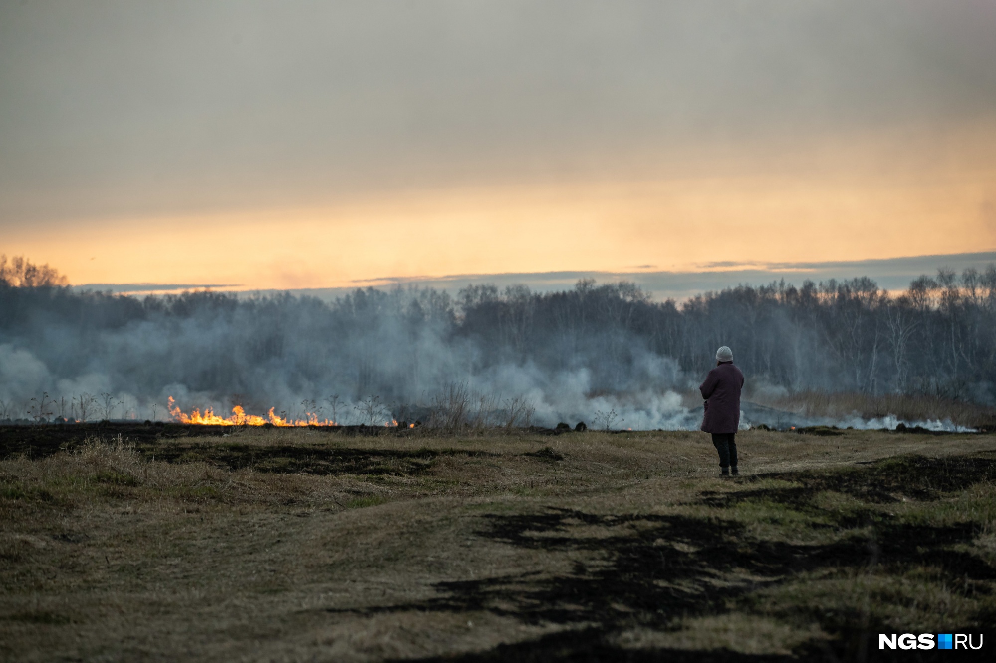 Как огонь уничтожает траву в Новосибирской области — 15 фото с ландшафтного пожара