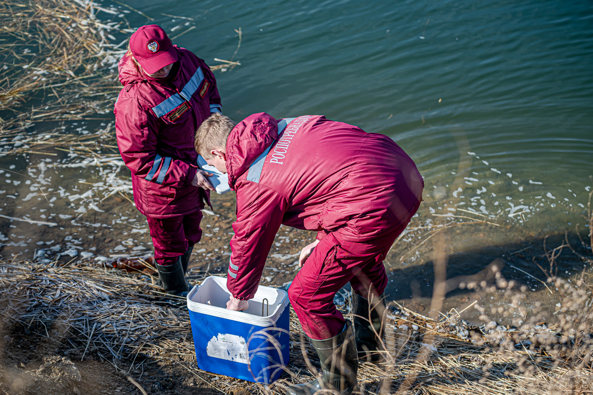 Кишечная палочка обнаружена в пробах воды в озере Кенон в Чите