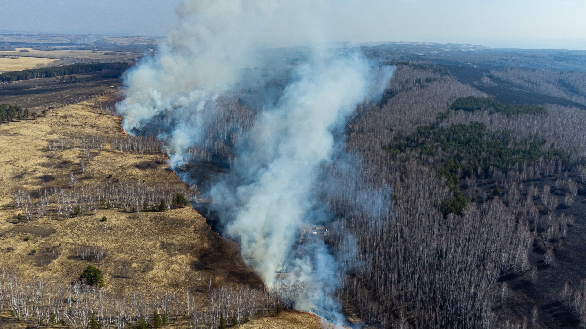 Природные пожары уничтожают гектары леса и сотни жилых домов в России. Почему мы второй год горим?