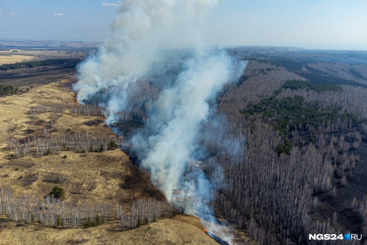 В этом году крупнейшие лесные пожары отмечают в Красноярском крае