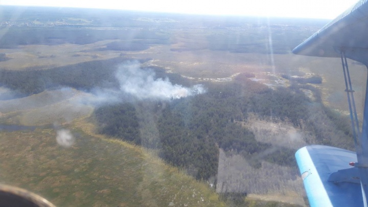 Высадили с самолета десятерых пожарных. На севере Прикамья тушат лесной пожар